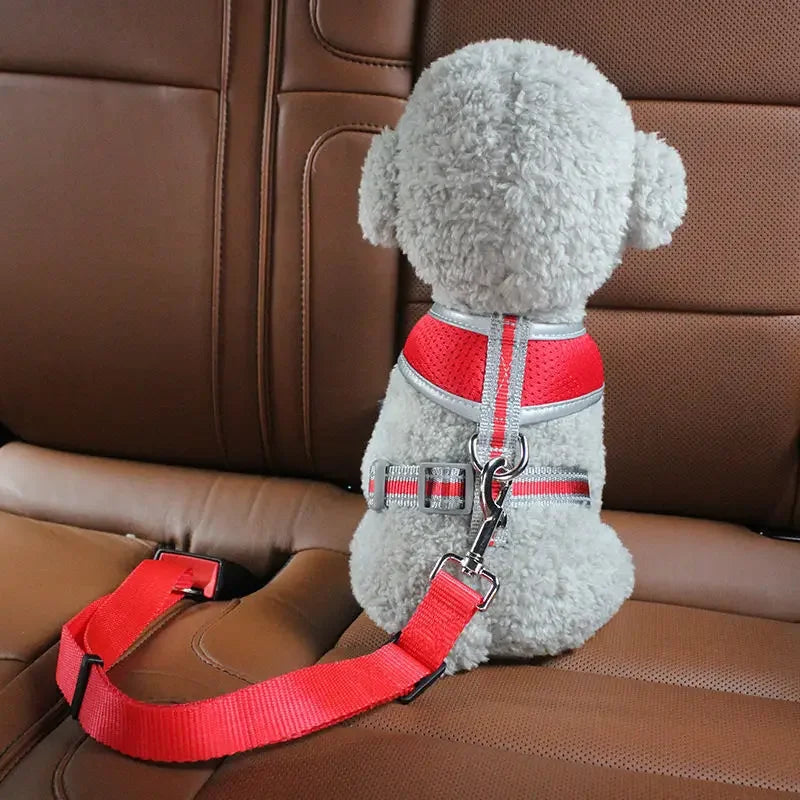 AutoPaws Safety Dog Seat Belt