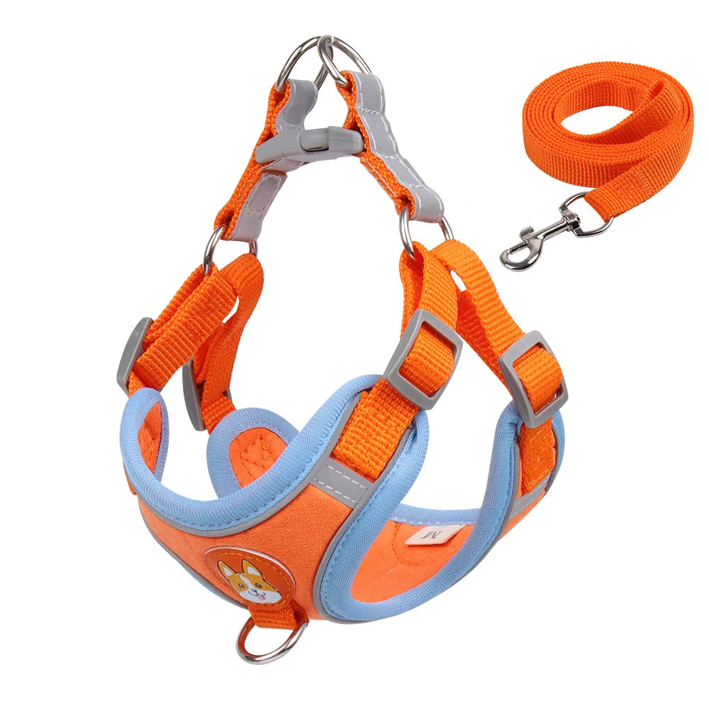 SafePaws Adjustable Dog Harness & Leash
