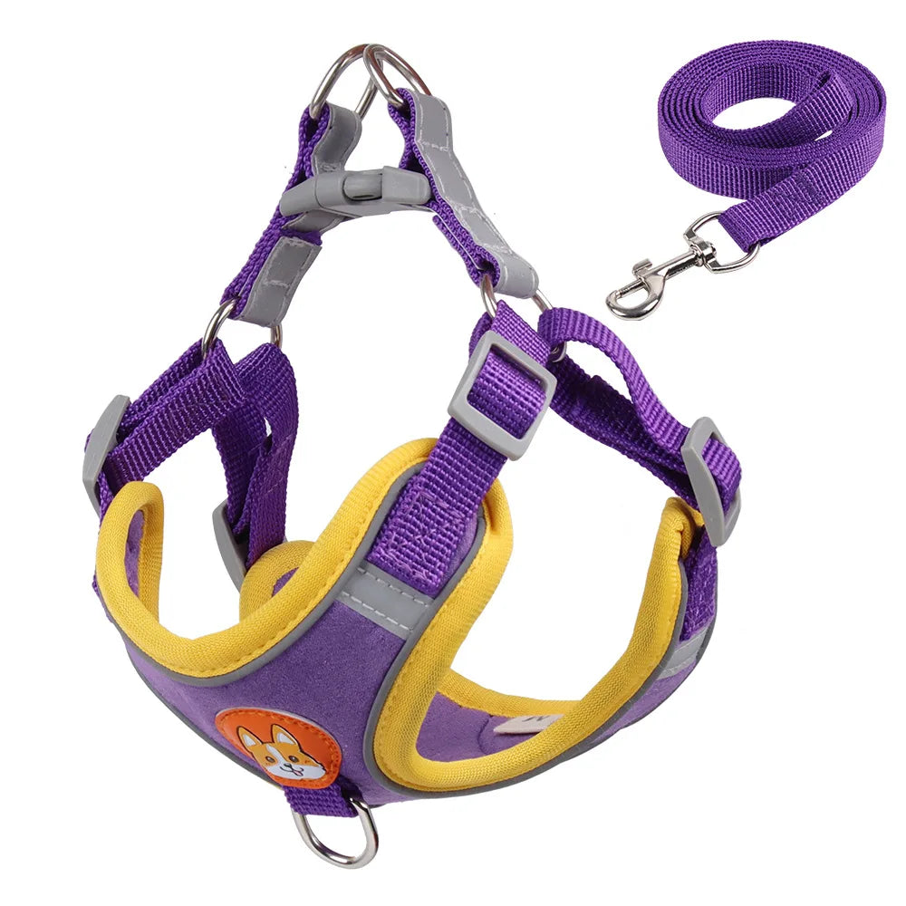 SafePaws Adjustable Dog Harness & Leash