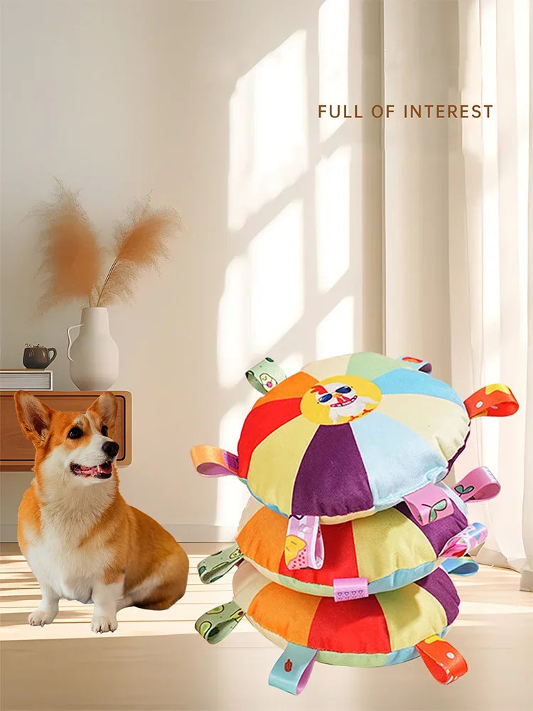 RainbowPaws Plush Flying Disc