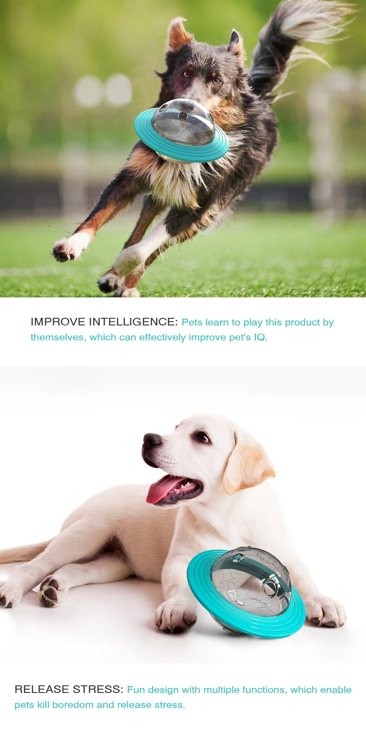 BrainyPaws Interactive Pet Toy