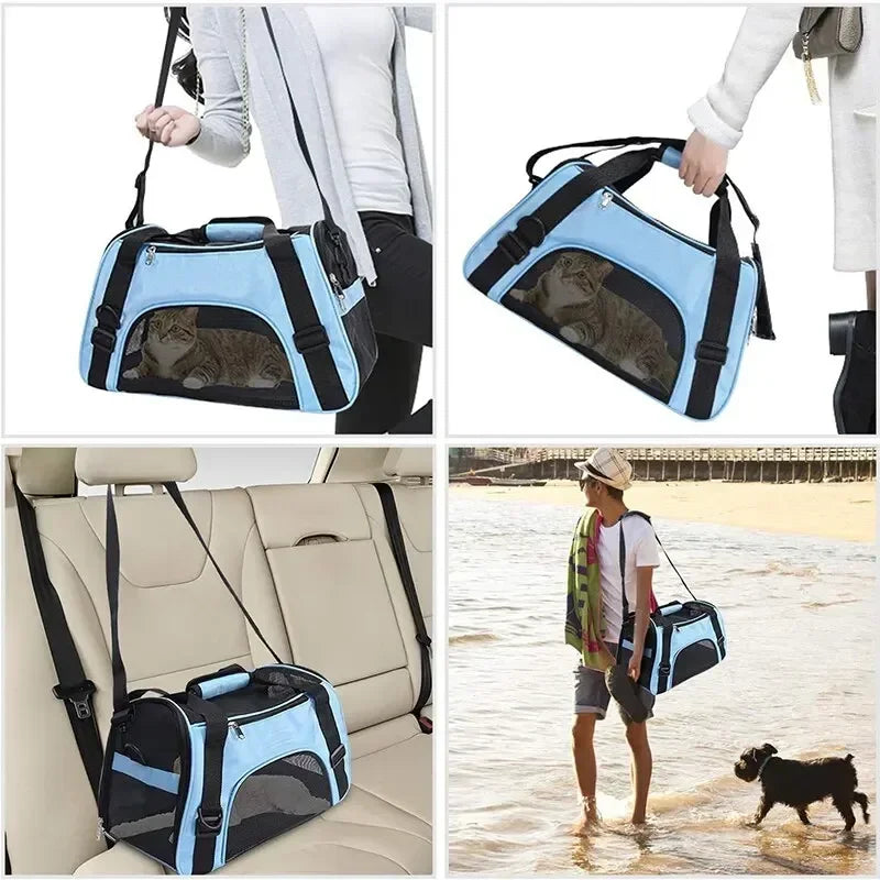 PawVoyage Foldable Pet Travel Bag