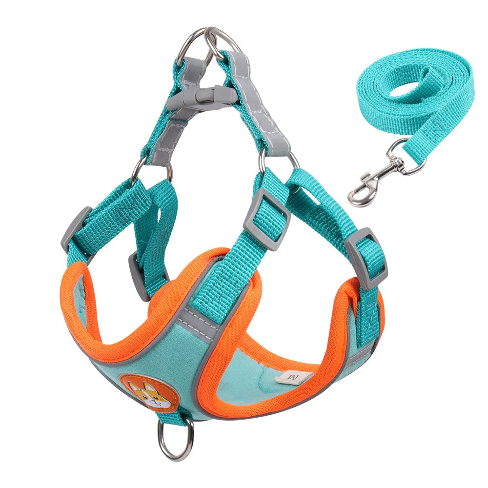 SafePaws Adjustable Dog Harness & Leash