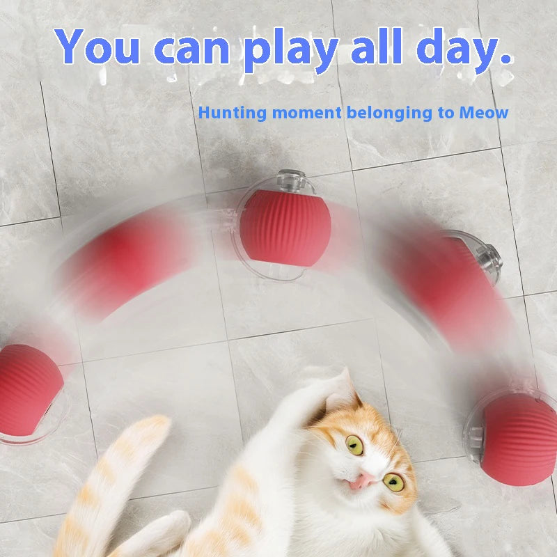 WhiskerPlay Automatic Cat Ball