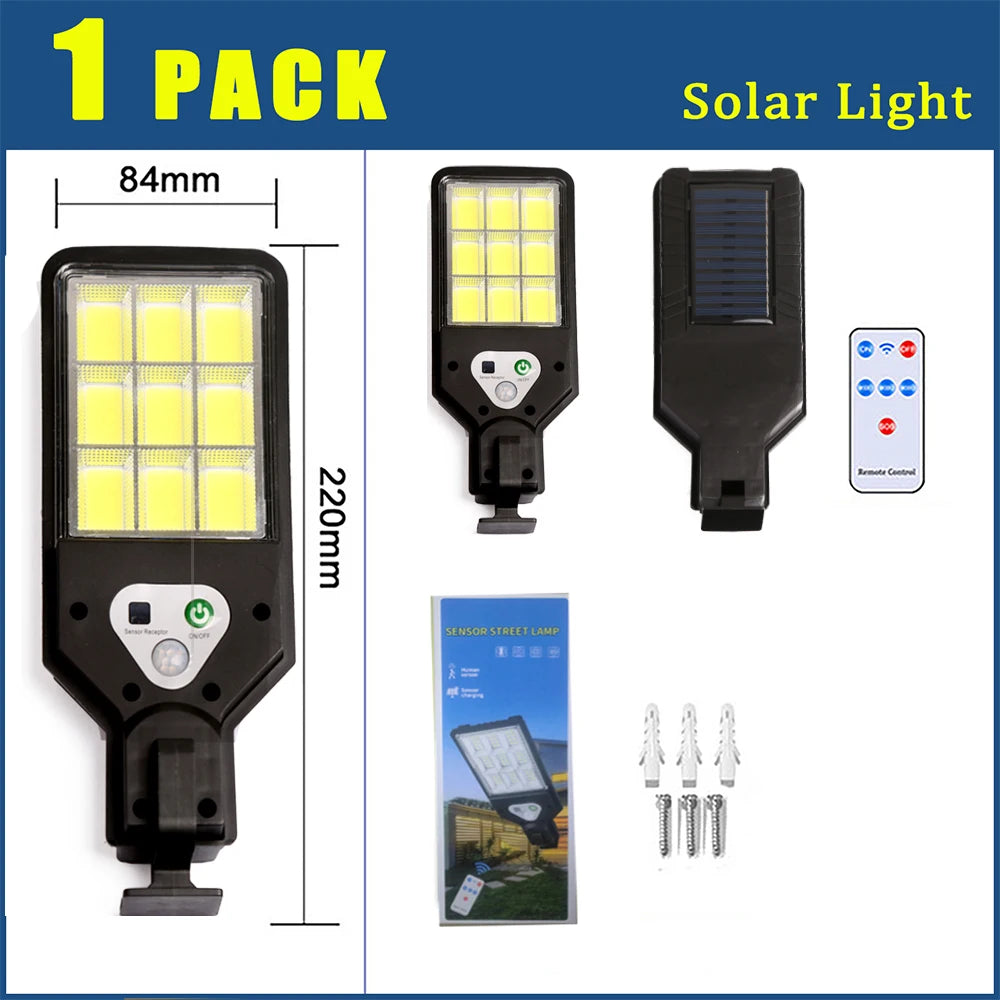 SolarGuard Motion Wall Lightn