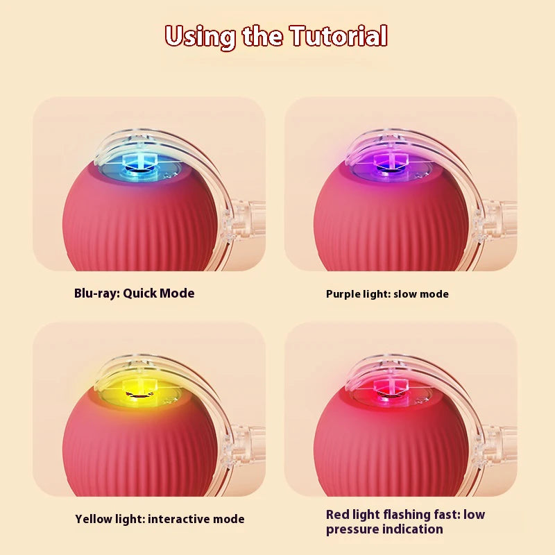 WhiskerPlay Automatic Cat Ball