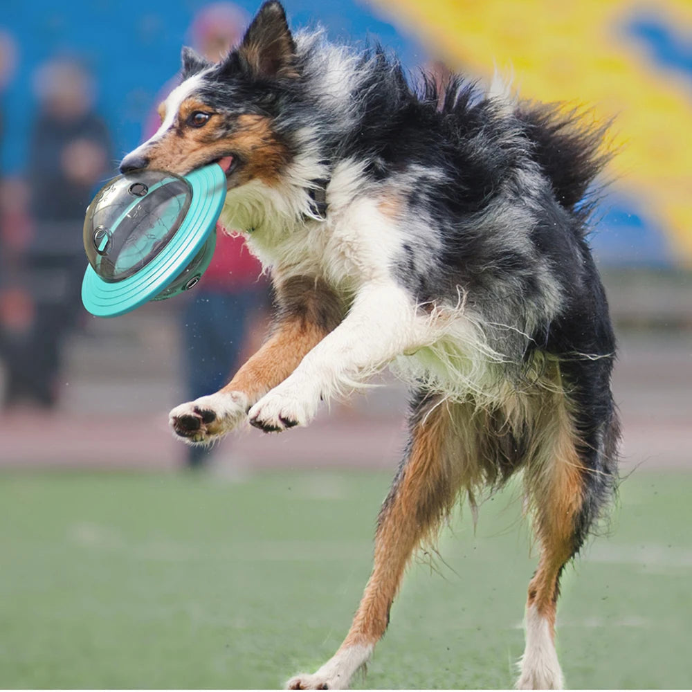 BrainyPaws Interactive Pet Toy