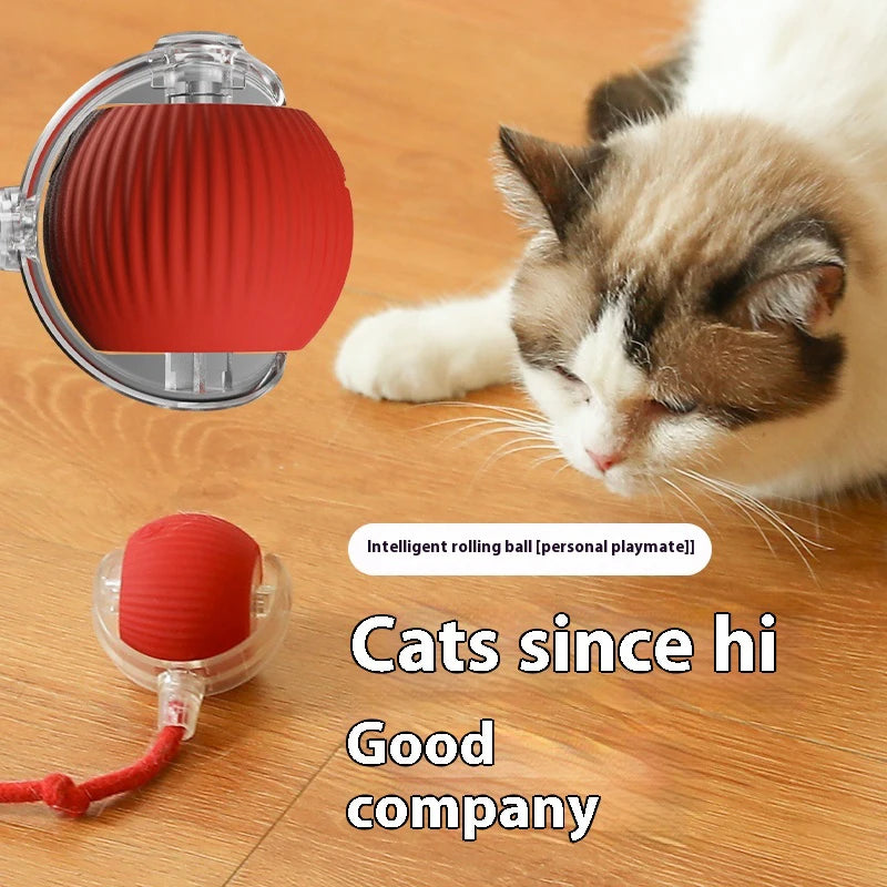 WhiskerPlay Automatic Cat Ball