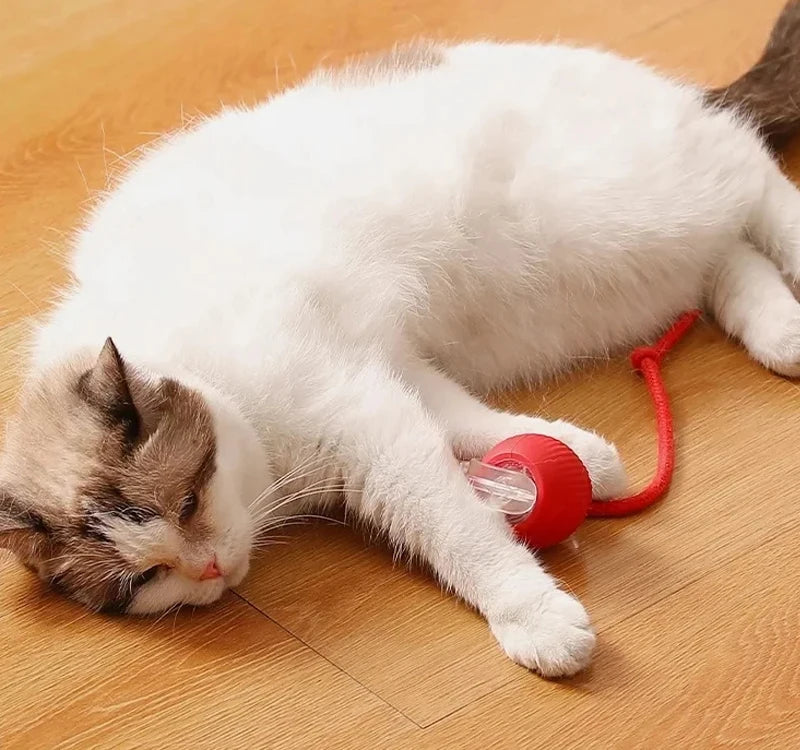 WhiskerPlay Automatic Cat Ball