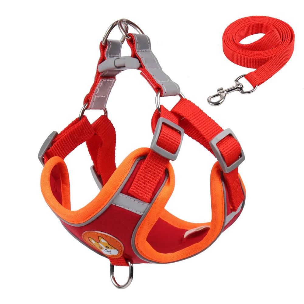 SafePaws Adjustable Dog Harness & Leash