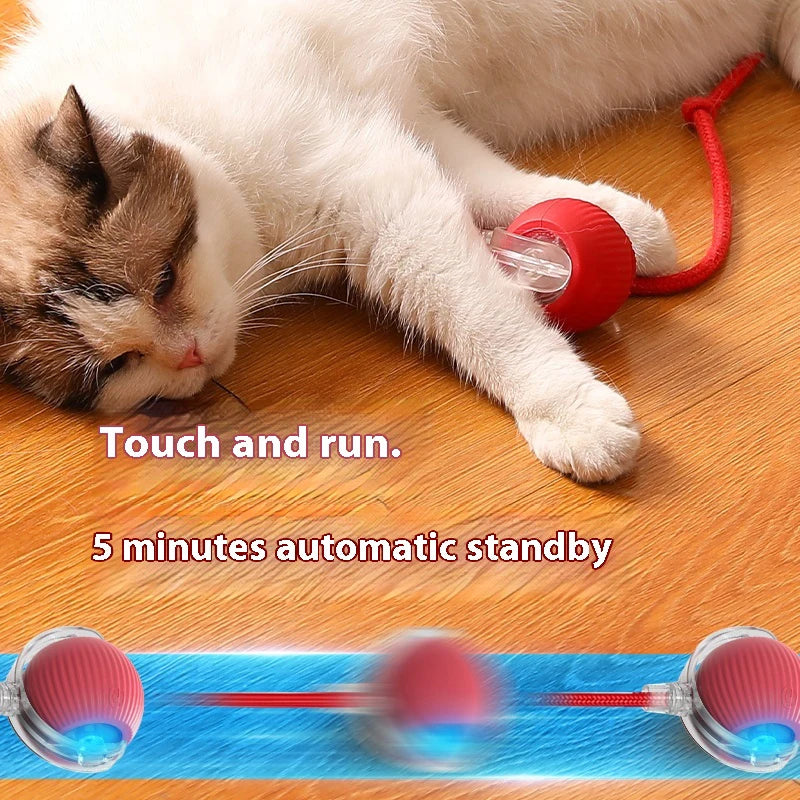 WhiskerPlay Automatic Cat Ball