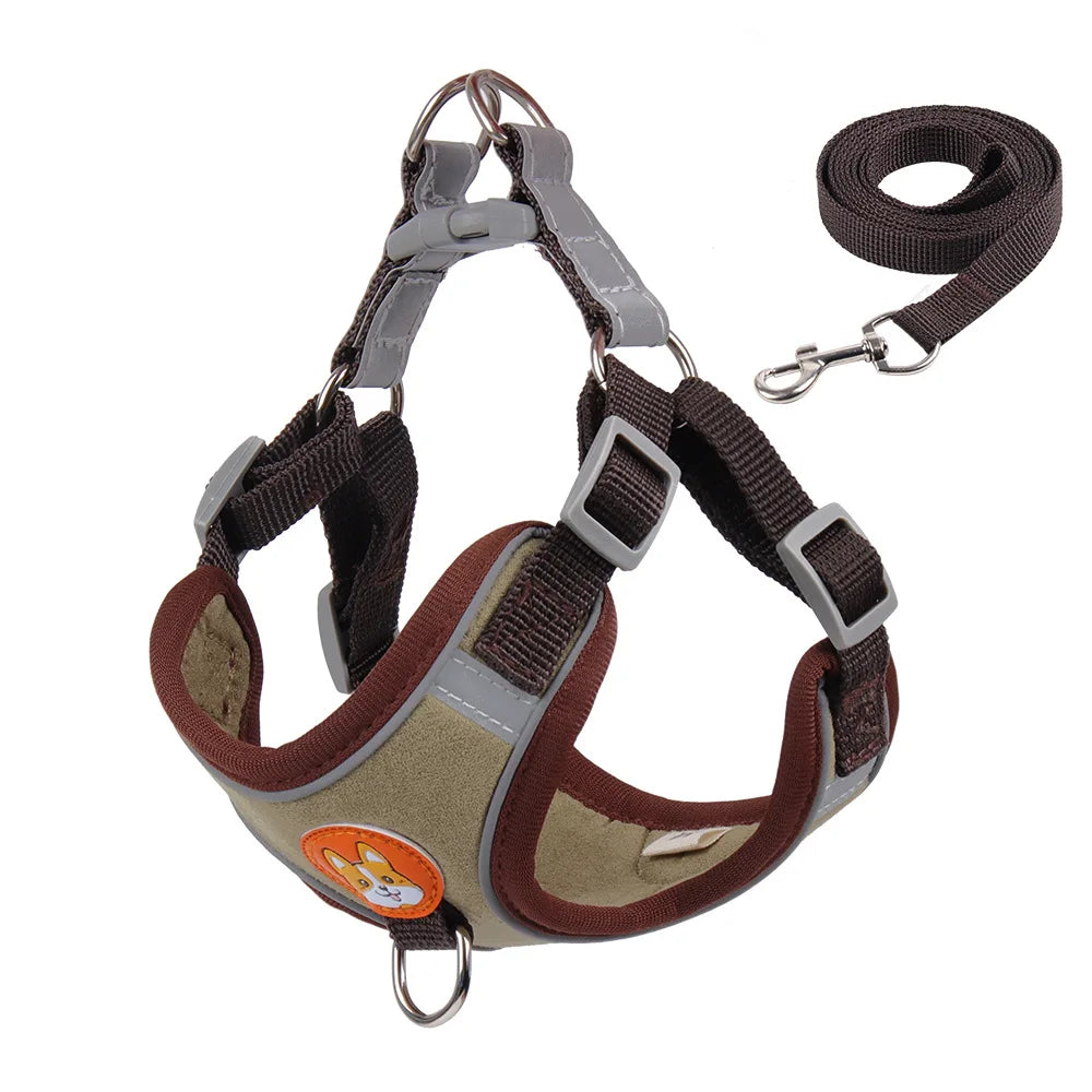 SafePaws Adjustable Dog Harness & Leash