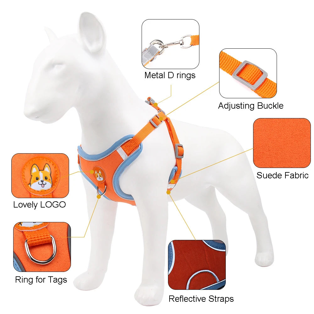 SafePaws Adjustable Dog Harness & Leash