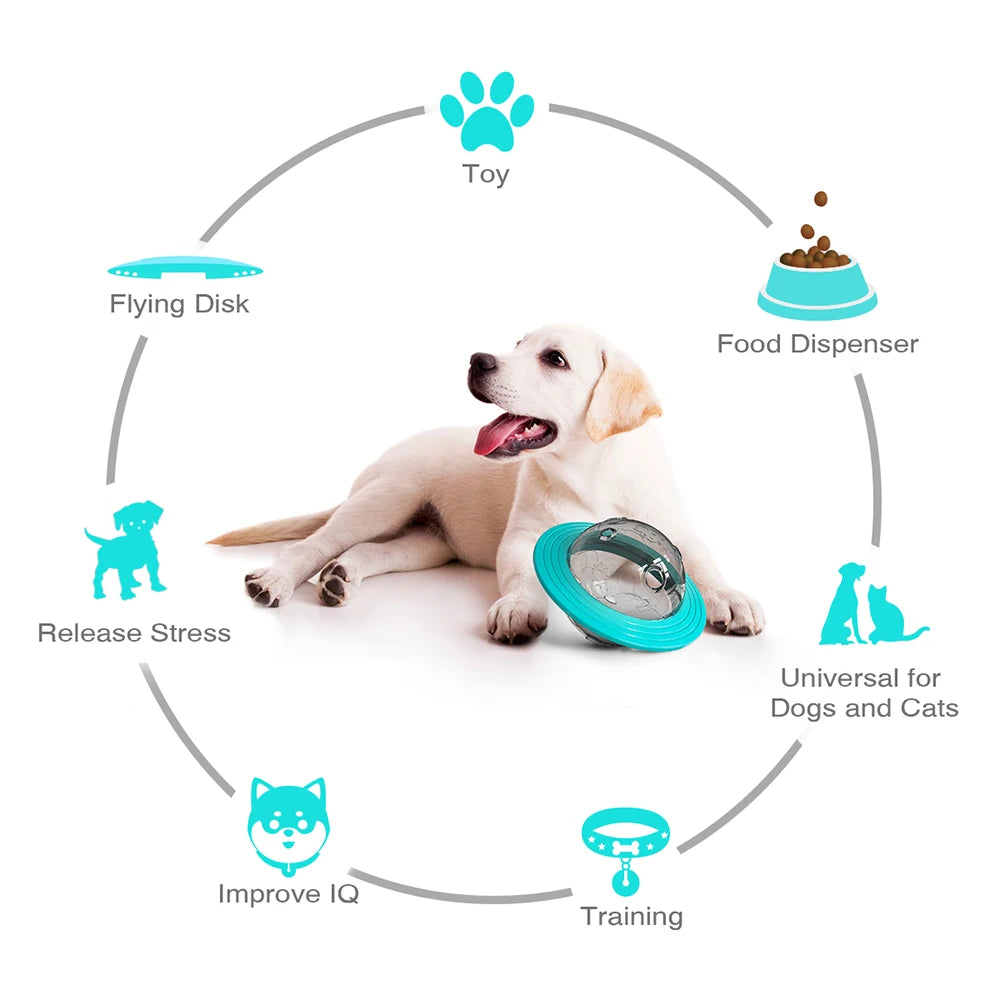 BrainyPaws Interactive Pet Toy