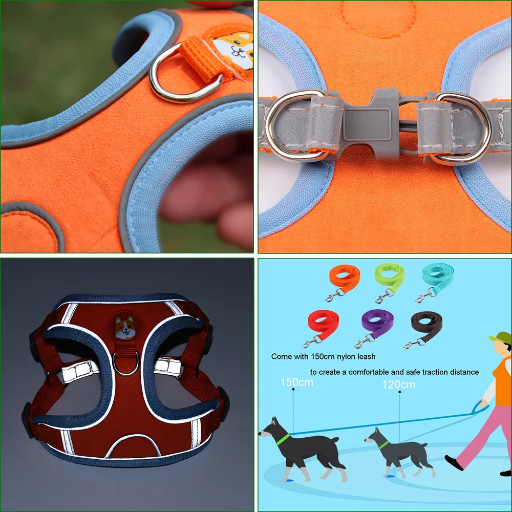 SafePaws Adjustable Dog Harness & Leash