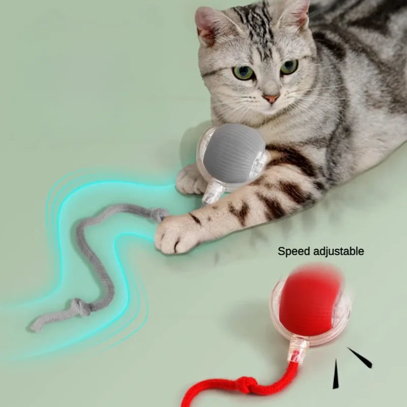 WhiskerPlay Automatic Cat Ball