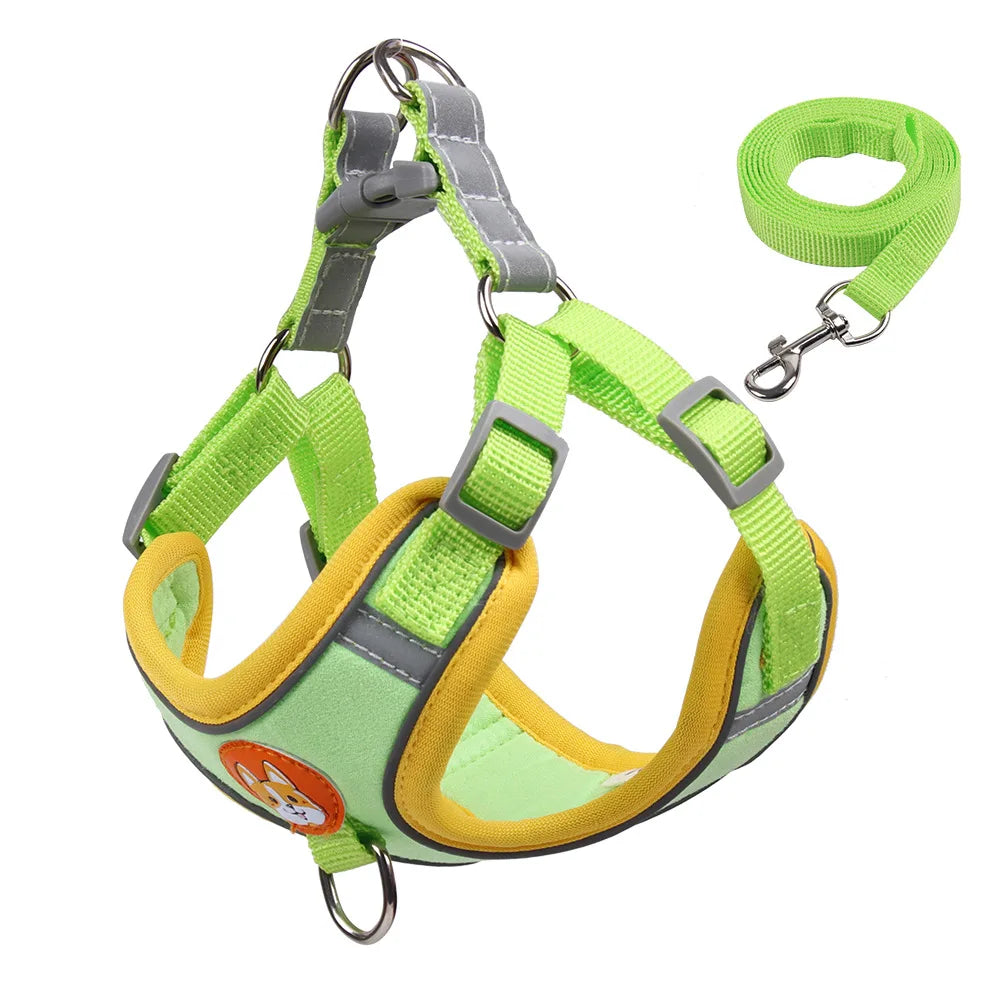 SafePaws Adjustable Dog Harness & Leash