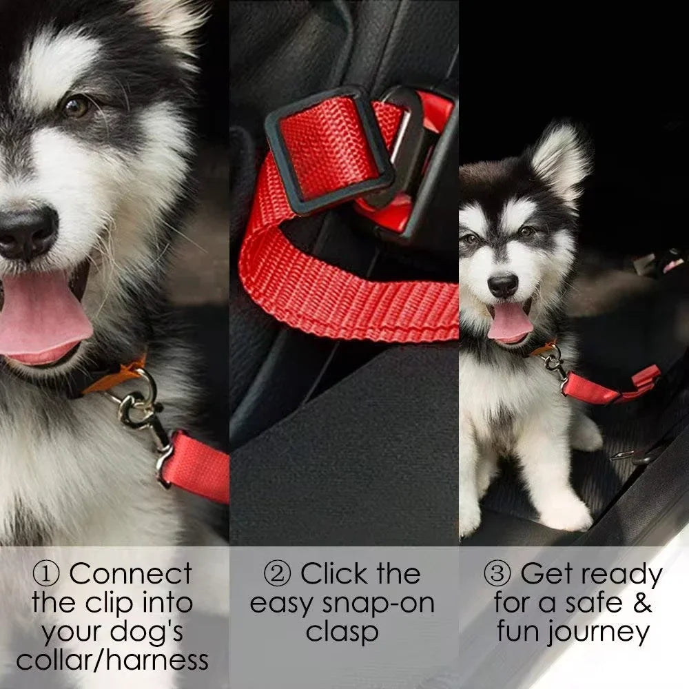 AutoPaws Safety Dog Seat Belt
