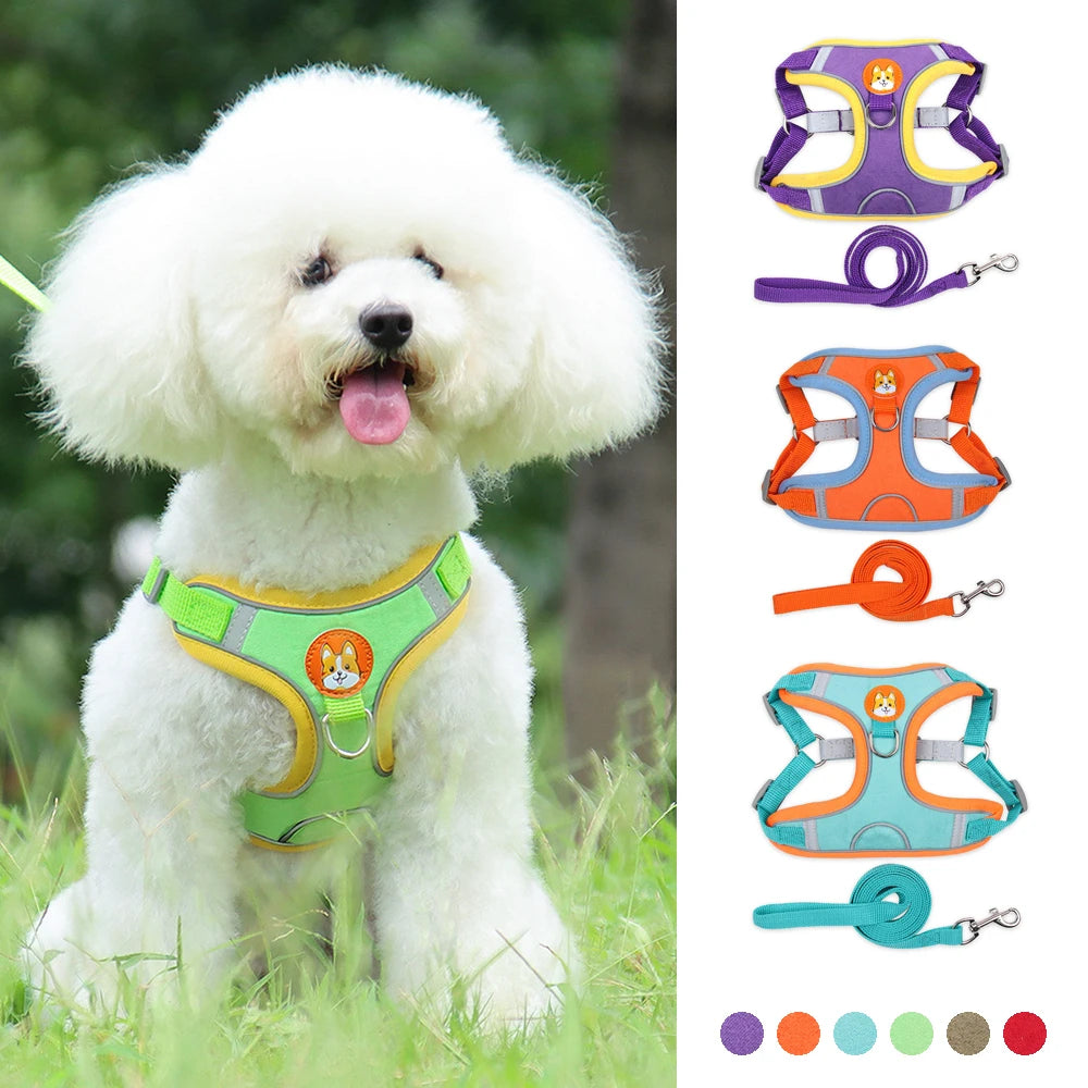 SafePaws Adjustable Dog Harness & Leash