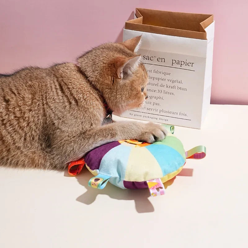 RainbowPaws Plush Flying Disc