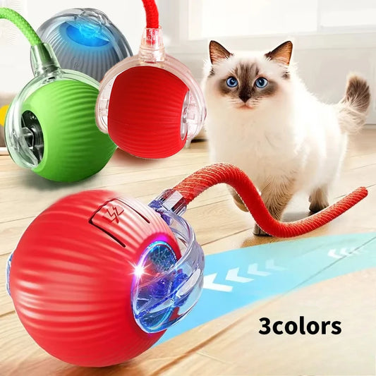WhiskerPlay Automatic Cat Ball