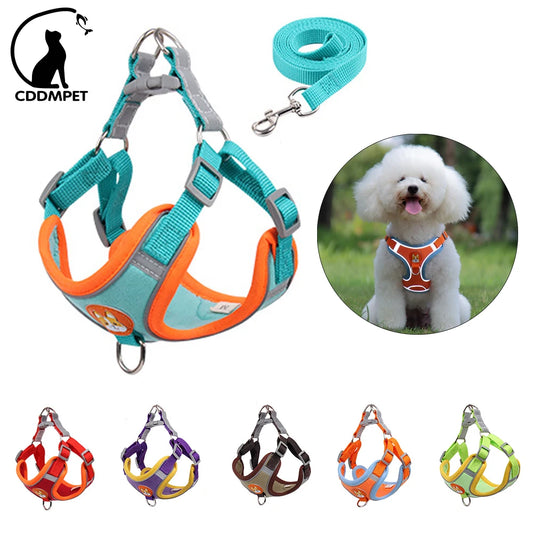 SafePaws Adjustable Dog Harness & Leash
