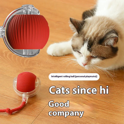 WhiskerPlay Automatic Cat Ball