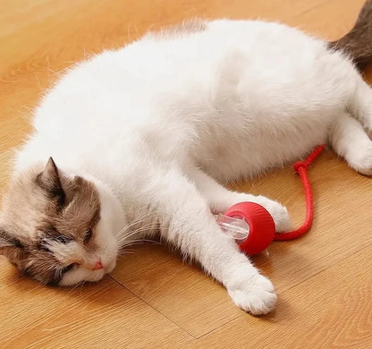 WhiskerPlay Automatic Cat Ball
