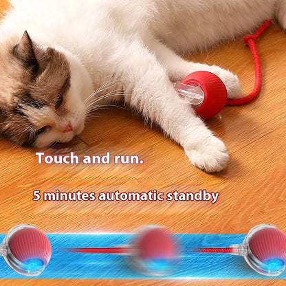 WhiskerPlay Automatic Cat Ball