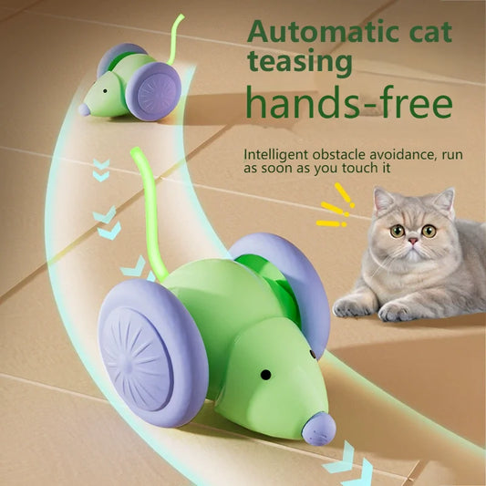 WhiskerChase Interactive Cat Mouse